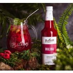 Báťkovy Bylinkové Sirupy Malina 0,5 l – Sleviste.cz