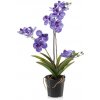 Květina Umělá květina Orchidej modrá, 60cm