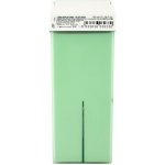 Ro.ial depilační vosk s hlavou Aloe Vera 100 ml – Zboží Dáma