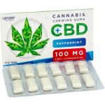 Euphoria Žvýkačky s CBD 100mg - peppermint 17 g – Hledejceny.cz