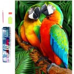 Norimpex Diamantové malování Barevní papoušci 30 x 40 cm – Zboží Mobilmania