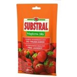 Substral hnojivo pro jahody 350 g – Hledejceny.cz