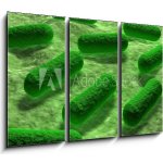 Obraz 3D třídílný - 105 x 70 cm - E coli Bacteria. Bakterie E coli. – Sleviste.cz
