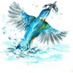 Staedtler 3001 TB36 36 ks – Zboží Živě