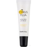 Farm stay Citrus Yuja Vitalizing Lip Balm vyživující balzám na rty 10 g – Zbozi.Blesk.cz