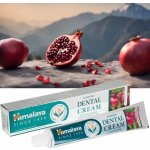 Himalaya Dental Cream s přírodním fluoridem Neem a granátové jablko 100 g – Hledejceny.cz