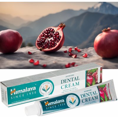 Himalaya Dental Cream s přírodním fluoridem, Neem a granátové jablko 100 g – Zbozi.Blesk.cz