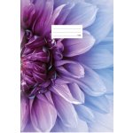 MFP Paper školní sešit A4 440 – Zboží Mobilmania