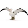 Figurka Collecta Albatros stěhovavý