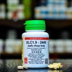 Pragon XLC1.9 xuefu zhuyu tang 36 tablet – Hledejceny.cz