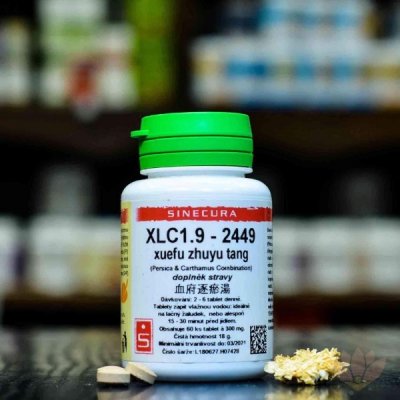 Pragon XLC1.9 xuefu zhuyu tang 36 tablet – Hledejceny.cz