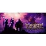 Trine (Enchanted Edition) – Hledejceny.cz