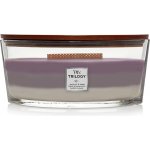 WoodWick Trilogy Amethyst Sky 453,6 g – Zboží Dáma