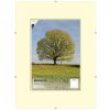 Klasický fotorámeček FANDY Euroklip / Clip rám 70x100 cm plexisklo