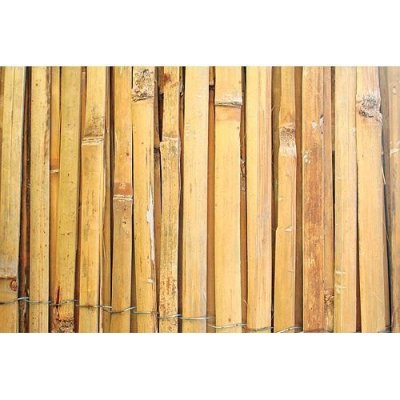 Plot Bambus 150 cm/5 m – Zbozi.Blesk.cz