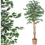 PLANTASIA 1654 Umělá květina fíkus, 190 cm – Zboží Mobilmania