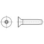 PROFISTYL DIN 7500M šroub závitotvorný se zápustnou hlavou a křížovou drážkou POZIDRIVE pozink Varianta: DIN 7500M šroub závitotvorný zápustná hlava křížová drážka ZnB M2,5x6 – Hledejceny.cz