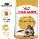 Royal Canin Maine Coon Adult granule pro mainské mývalí kočky 2 x 10 kg – Hledejceny.cz