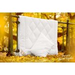 Lavinest Letní set Aloe Vera 70x90 900g zip 135x200 540g – Zboží Mobilmania
