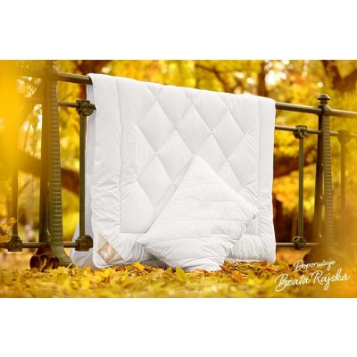 Lavinest Letní set Aloe Vera 70x90 900g zip 135x200 540g – Zboží Mobilmania