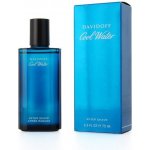 Davidoff Cool Water voda po holení 75 ml – Zboží Dáma Davidoff Cool Water voda po holení 75 ml – Zboží Dáma
