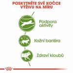 Royal Canin Outdoor 2 kg – Sleviste.cz
