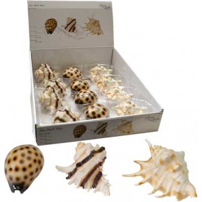 Europet Bernina Sea shell Mix 8,5-10 cm – Zboží Mobilmania