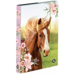 Oxybag A5 Kůň 3-77123 – Sleviste.cz