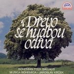 Musica Bohemica, Jaroslav Krček – Dřevo se hudbou odívá MP3 – Hledejceny.cz