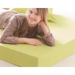 Polášek Prostěradlo jersey tmavě fialové 90x200 – Zboží Mobilmania