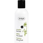 Ziaja okurkový pleťové tonik pro mastnou pleť 200 ml – Zboží Mobilmania
