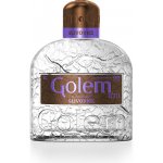 Golem Slivovice 40% 1 l (holá láhev) – Zboží Dáma