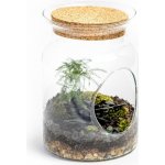 Gardners Skleněná váza Digitalis s korkovým špuntem a otvorem - výška 20 cm, průměr 14 cm - osázené vlhkomilně – Hledejceny.cz