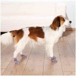 Trixie ochranné kalhotky netkaná textilie XS,S,S-M – Hledejceny.cz