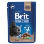 Brit Premium Cat Sterilised Liver 100 g – Zbozi.Blesk.cz