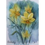 Pohlednice Žlutý narcis – Zboží Dáma
