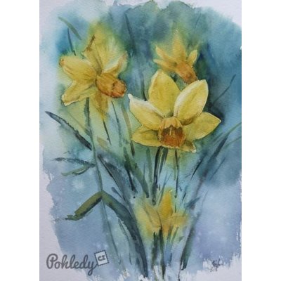 Pohlednice Žlutý narcis – Zboží Dáma