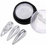 BORN PRETTY NICOLE DIARY Solid Chrome 1 – Hledejceny.cz