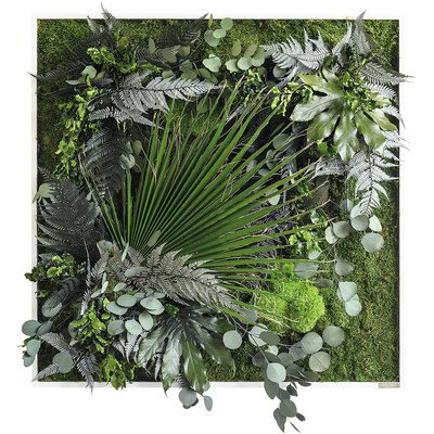 Obraz z rostlin styleGREEN Džungle 80x80 cm – Zboží Mobilmania