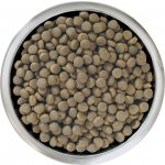 Pro Plan Large Puppy Robust Healthy Start kuře 12 kg – Hledejceny.cz
