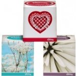 Kleenex Collection papírové kapesníčky v krabičce 3-vrstvé 56 ks – Zboží Dáma