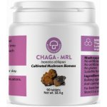 MRL Chaga rezavec šikmý 90 tablet – Hledejceny.cz