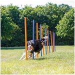 Trixie agility slalom tyče 12ks – Zbozi.Blesk.cz