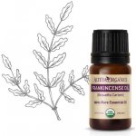 Alteya Organics Kadidlový olej 100% Bio Alteya 10 ml – Hledejceny.cz