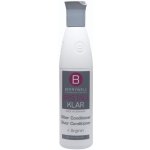 Berrywell Kristal Klar Silver Conditioner 251 ml – Zboží Mobilmania