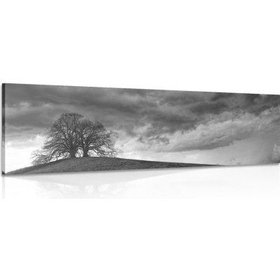 Obraz černobílé osamělé stromy - 120x40 cm – Zboží Mobilmania