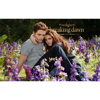 Jedlý tisk STMÍVÁNÍ - TWILIGHT SAGA ● materiál: FONDÁNOVÝ DECORLIST ✴️, ● velikost: formát A4 ☝