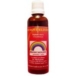 Nový obzor Broncholen duhové elixíry 50 ml – Hledejceny.cz