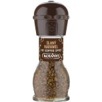 Kotányi Slaný karamel mlýnek 65 g – Zboží Dáma