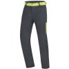 Pánské sportovní kalhoty Direct Alpine pánské kalhoty Joshua Top 1.0 anthracite/lime